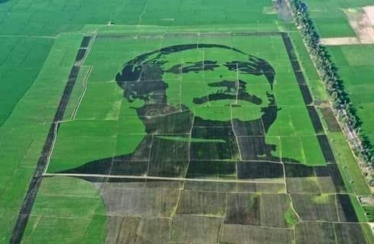 শস্যচিত্রে বঙ্গবন্ধু