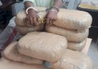 হাতিরঝিলে ১৪ কেজি গাঁজাসহ গ্রেপ্তার দুই