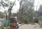 গাইবান্ধায় কালবৈশাখীর ঝড়ে প্রাণহানী ৭