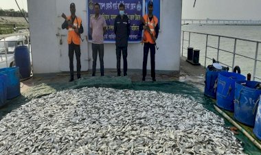 কোস্ট গার্ডের অভিযানে ২ হাজার কেজি জাটকা জব্দ