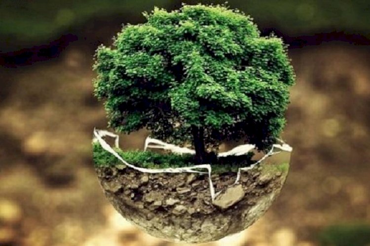বিশ্ব ধরিত্রী দিবস আজ 