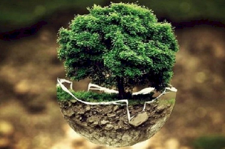 বিশ্ব ধরিত্রী দিবস আজ 