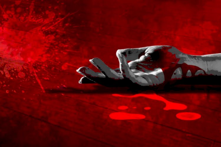 কালিগঞ্জে সৎ ভাইয়ের ছুরিকাঘাতে প্রকৌশলী নিহত, আহত ২