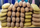 ৪০ কেজি গাঁজাসহ দুই মাদক ব্যবসায়ী গ্রেপ্তার