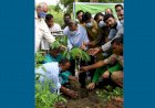 জিয়াউর রহমান হাজার হাজার বৃক্ষও ধ্বংস করেছেন