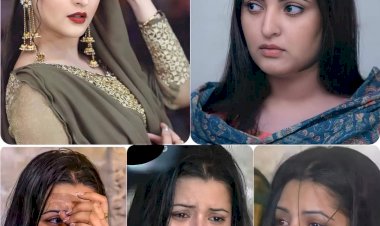 আপনাদের কি মনে হয়, মদ খেতে গিয়েছিলাম?