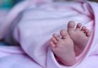 ইডেন কলেজের সামনের রাস্তায় নবজাতকের মরদেহ