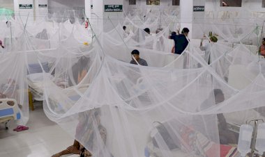 আরও ২১৪ ডেঙ্গু রোগী হাসপাতালে ভর্তি
