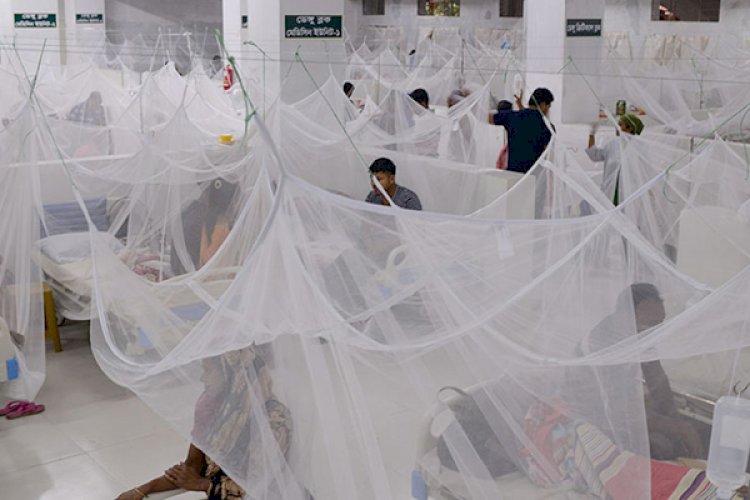 আরও ২১৪ ডেঙ্গু রোগী হাসপাতালে ভর্তি