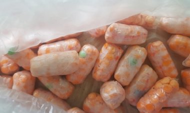 পাকস্থলিতে ইয়াবা বহন, গ্রেপ্তার দুই