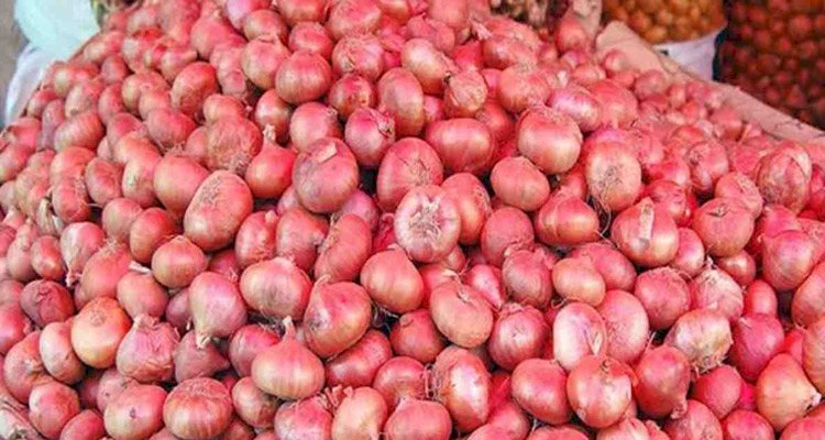 ভারত থেকে পেঁয়াজ আমদানি বন্ধ