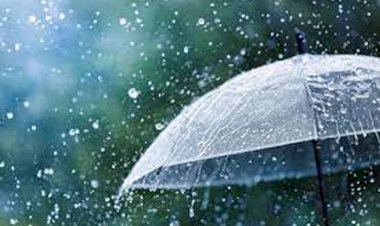 দেশের অধিকাংশ স্থানে বৃষ্টিপাতের সম্ভাবনা