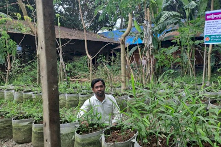 দেশে জনপ্রিয় হয়ে উঠছে ‘ব্যাগিং পদ্ধতি’তে আদা চাষ